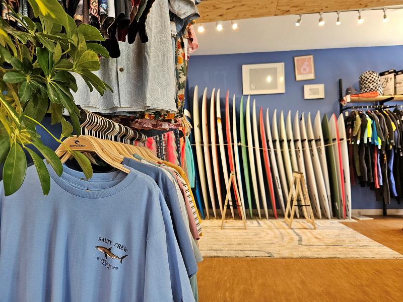 surfboards and shirts are hanging in a Jah Shaka Surf Shop with a plant